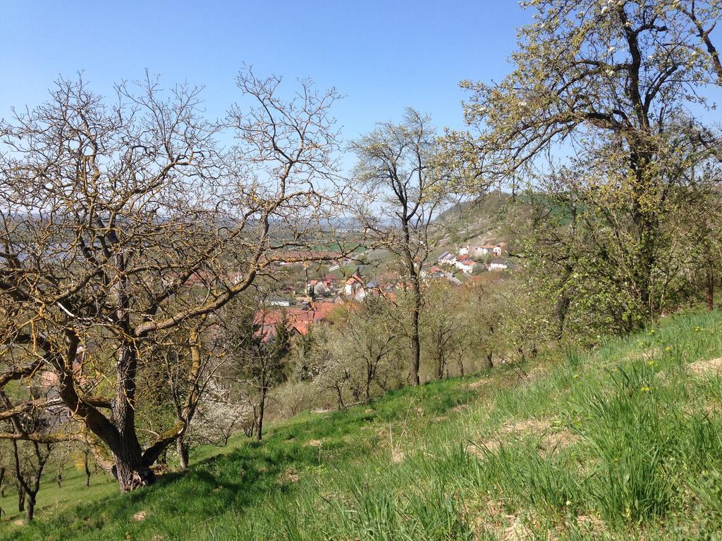 Alte Rose Gasthaus Ebelsbach Pokój zdjęcie