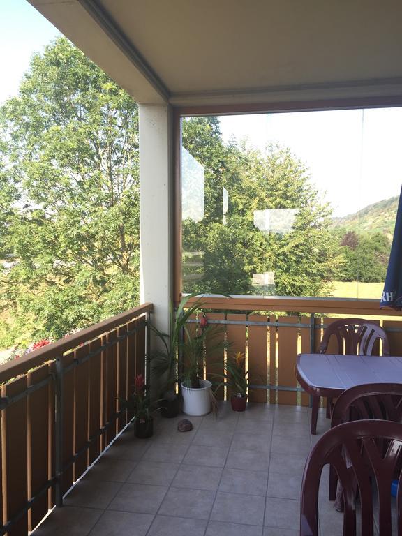Alte Rose Gasthaus Ebelsbach Zewnętrze zdjęcie