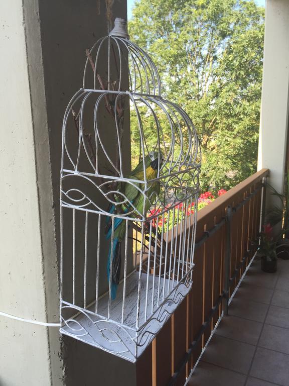 Alte Rose Gasthaus Ebelsbach Zewnętrze zdjęcie